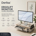 Derliss™ ErgoLift Monitor Stand Organizer